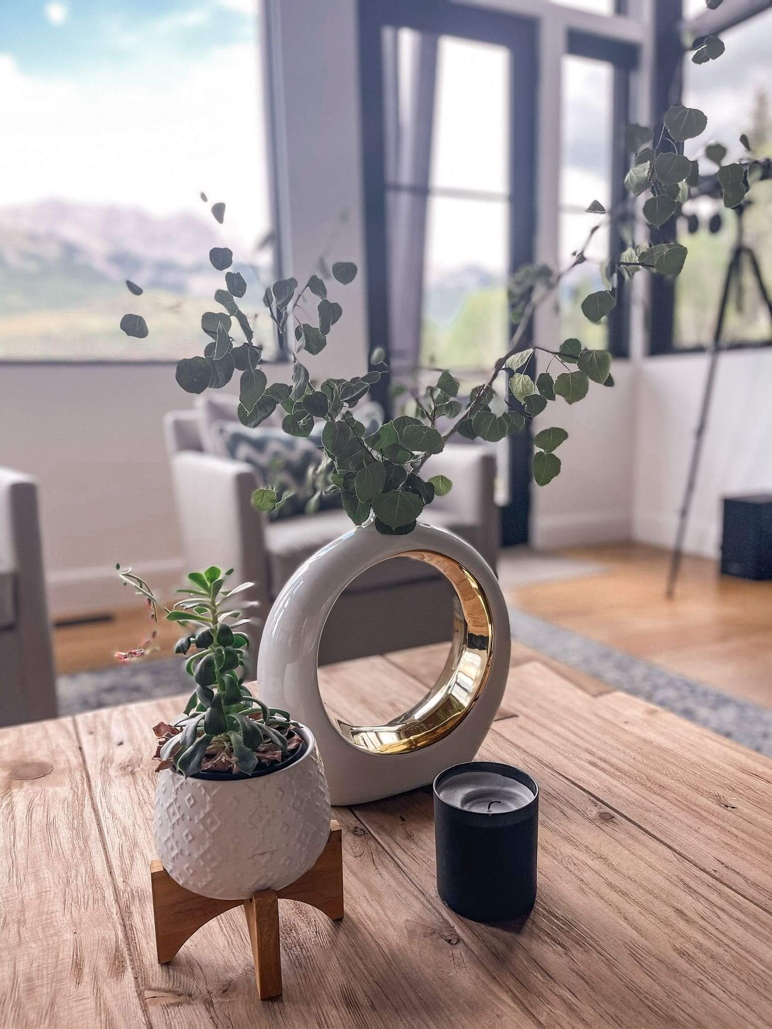 Minimalist living room table with potted plants, a round ceramic vase, and a candle, set against large windows.